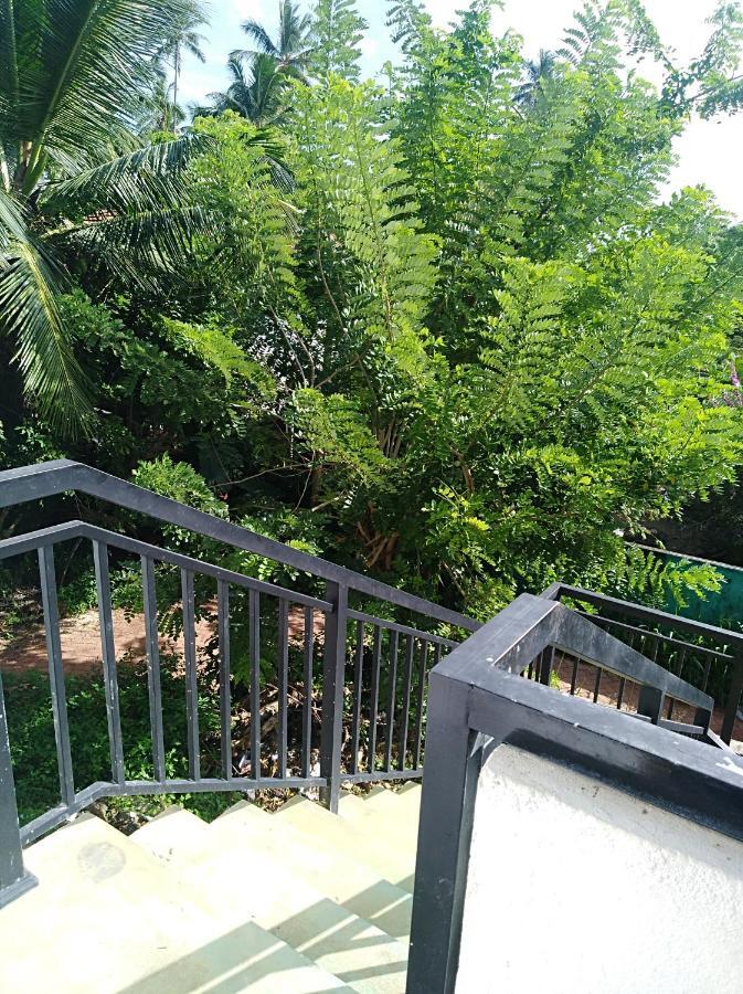 Dolphin Cottage Mirissa Exterior photo